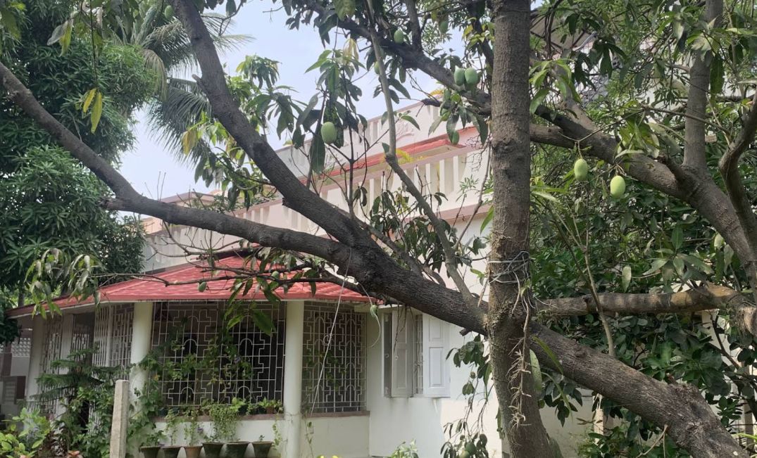 Monpakhi 3 rd image
